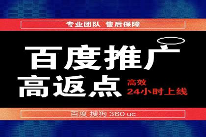 百度推广渠道拓展，成功案例分析